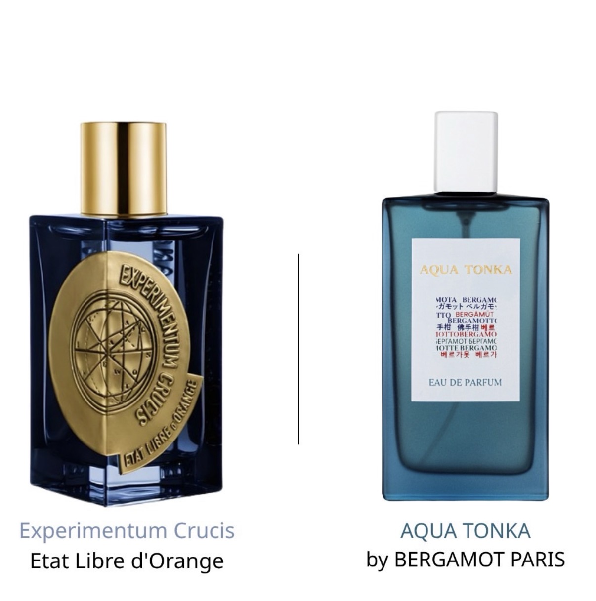 عطر اكوا تونكا برغموت باريس ١٠٠ مل